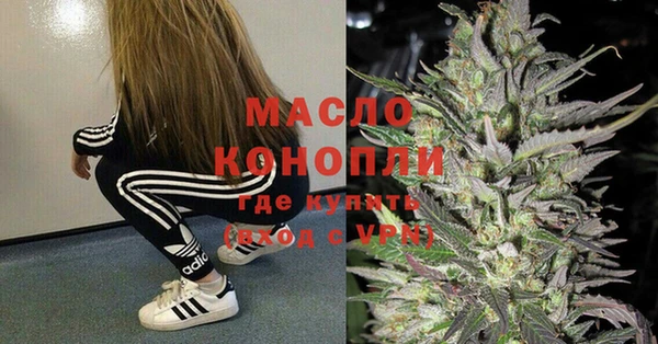 стаф Аркадак