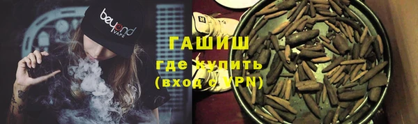 хмурый Арсеньев