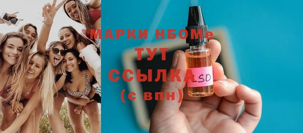 стаф Аркадак