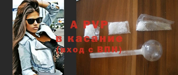 стаф Аркадак