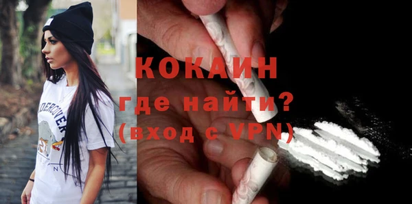 стаф Аркадак
