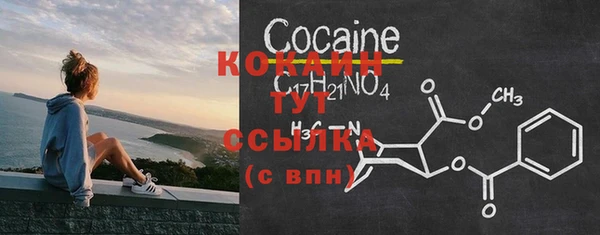 хмурый Арсеньев