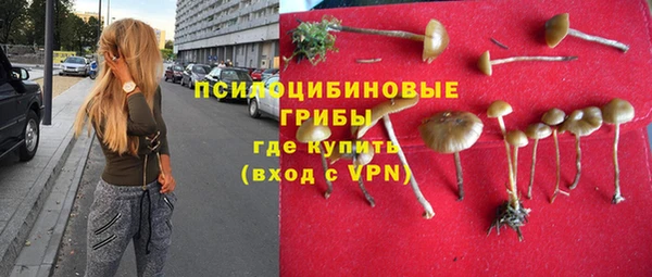 хмурый Армянск