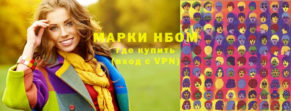 стаф Аркадак