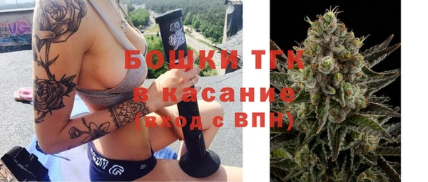 стаф Аркадак
