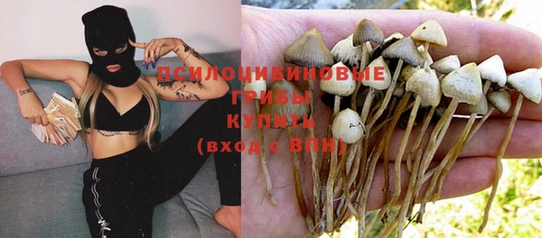 хмурый Армянск