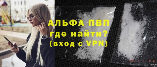 хмурый Арсеньев
