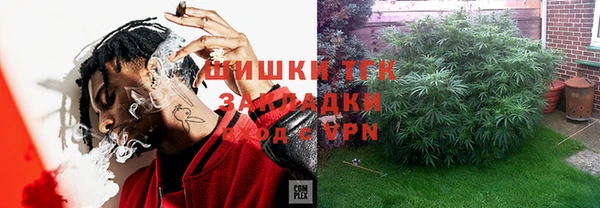стаф Аркадак