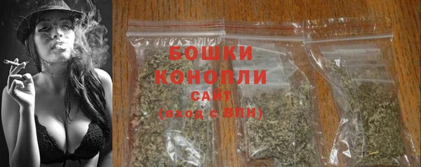 стаф Аркадак