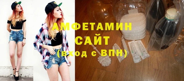 стаф Аркадак