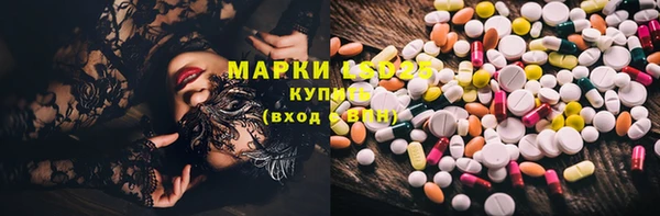 стаф Аркадак