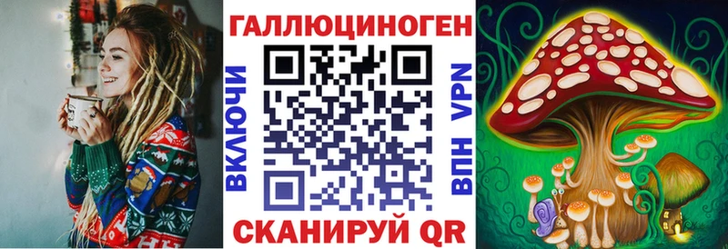 как найти наркотики  Стародуб  Галлюциногенные грибы мухоморы 